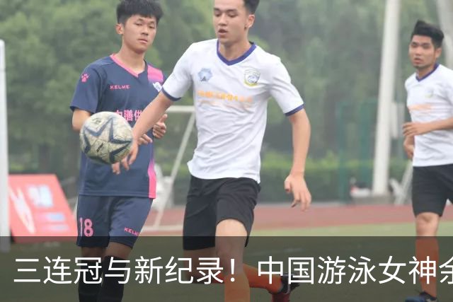 三连冠与新纪录！中国游泳女神余依婷璀璨绽放